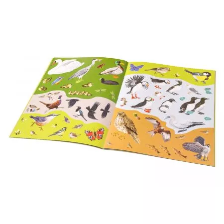 SÝKORKY, VRABČÁCI a další zpěváčci – Kniha samolepek