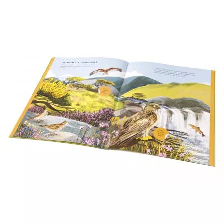 SÝKORKY, VRABČÁCI a další zpěváčci – Kniha samolepek