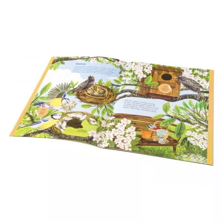 SÝKORKY, VRABČÁCI a další zpěváčci – Kniha samolepek