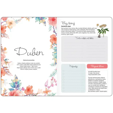 Týdenní diář B6 Bylinkový Herbs s gumičkou (DZ439-3-26)