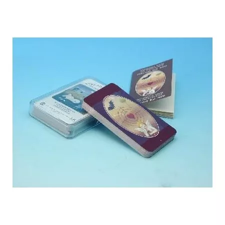 Vykládací karty Iva Hüttnerová v plastové krabičce