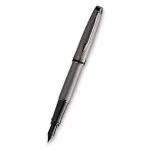 Waterman Expert Metallic Silver RT plnicí pero hrot F